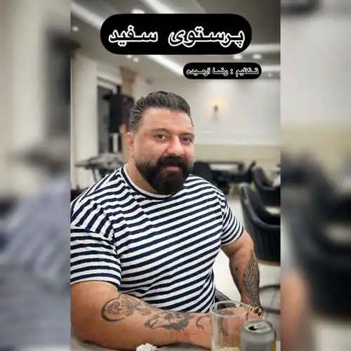 پرستوی سفید